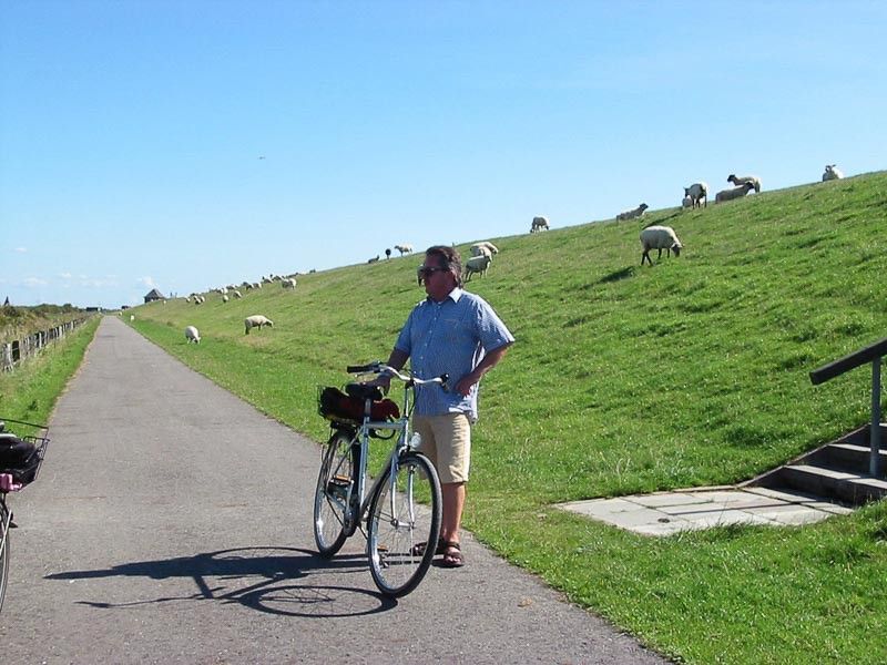 Radfahrer am Deich