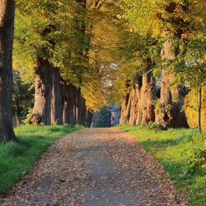 Impressionen vom Fürstenberg