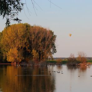 Idylischer Altrhein bei Birten