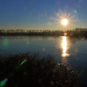 Idylischer Altrhein bei Sonnenaufgang