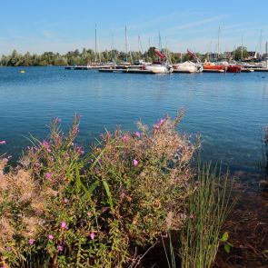 Impressionen Xantener Südsee - Hafen Xanten